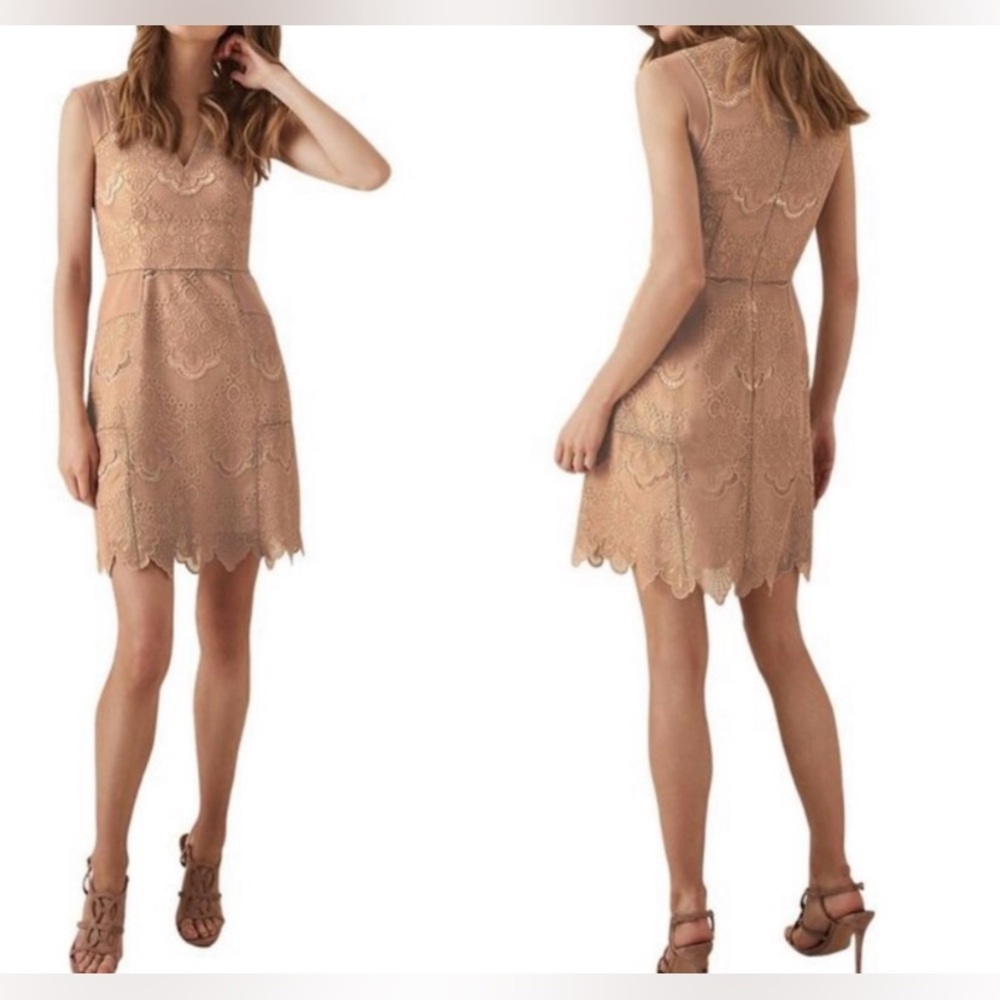 COPY - Reiss Gemina Lace Fit and Flare Dress